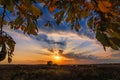 autumn landscape through the branches of a tree on the field with a sunset Royalty Free Stock Photo