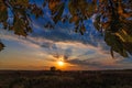 Autumn landscape through the branches of a tree on the field with a sunset Royalty Free Stock Photo