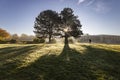 Early morning in the city is full of rays of the sun. A huge field near the school Royalty Free Stock Photo