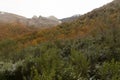 Autumn landscape with bright leaves and frozen peaks in Las Ubinas La Mesa National Park