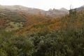 Autumn landscape with bright leaves and frozen peaks in Las Ubinas La Mesa National Park