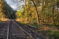 Autumn landscape of  brightly colored woods with railroad tracks cutting through Royalty Free Stock Photo