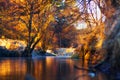 Autumn landscape on calm river Royalty Free Stock Photo