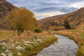 Autumn landscape in the Cardrona Valley, Otago, New Zealand Royalty Free Stock Photo