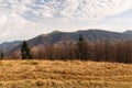 Autumn landscape of the Carpathian Mountains