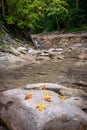 Autumn landscape. Cascades of small waterfalls of the mountain river. Jane River. Krasnodar Territory. Royalty Free Stock Photo