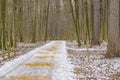 Autumn landscape of Central Russia. The first snow in the Park. A green track covered with snow and sprinkled with sand Royalty Free Stock Photo