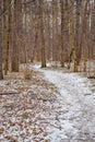 Autumn landscape of Central Russia. The first snow in the Park. Park path covered with snow Royalty Free Stock Photo
