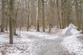 Autumn landscape of Central Russia. The first snow in the Park. Park path covered with snow Royalty Free Stock Photo