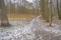 Autumn landscape of Central Russia. The first snow in the Park. Park path covered with snow Royalty Free Stock Photo