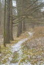 Autumn landscape of Central Russia. The first snow in the Park. Path through the trees Royalty Free Stock Photo