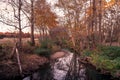 Autumn landscape with a centralized stream of water