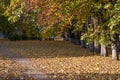 Autumn landscape in the city Park area Royalty Free Stock Photo