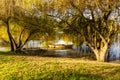 Autumn landscape of city park with golden trees. river sorraia and boat Royalty Free Stock Photo