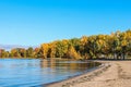 Autumn landscape in city park. Light fog on river in morning. Orange trees on river bank reflected in water. Seagulls on the beach Royalty Free Stock Photo