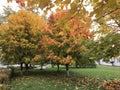 Autumn landscape in the city park. Trees with leaves of red and yellow stand out against the background of green grass with fallen Royalty Free Stock Photo