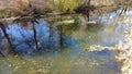 autumn landscape with clear water