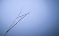 Autumn landscape of cold  wet morning in the meadow. The grass and cobweb in fog. Free copy space for design or text Royalty Free Stock Photo