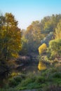 Autumn landscape, colored trees over the river, beautiful picturesque background. Natural paints. Beautiful view