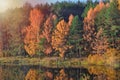 Autumn landscape with colorful forest. Colorful foliage over the lake with beautiful forests in red and yellow colors. Autumn fore Royalty Free Stock Photo
