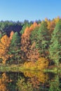 Autumn landscape with colorful forest. Colorful foliage over the lake with beautiful forests in red and yellow colors. Autumn fore Royalty Free Stock Photo