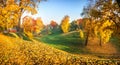 Autumn landscape with colorful golden trees in Tsaritsyno