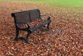 Autumn landscape with colorful leaves on ground, tree and a bench Royalty Free Stock Photo