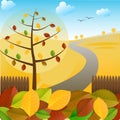 Autumn landscape and colorful leaves