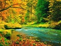 Autumn landscape, colorful leaves on trees, morning at river after rain. Royalty Free Stock Photo