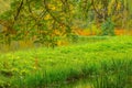 Autumn landscape, colorful leaves on trees with river or lake