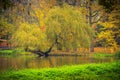 Autumn landscape, colorful leaves on trees with river or lake Royalty Free Stock Photo