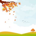 Autumn landscape colorful maple leaves and tree Royalty Free Stock Photo