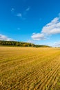 Autumn landscape. Colorful sunny day. Green fields and yellow trees. Royalty Free Stock Photo