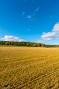 Autumn landscape. Colorful sunny day. Green fields and yellow trees. Royalty Free Stock Photo