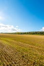 Autumn landscape. Colorful sunny day. Green fields and yellow trees. Royalty Free Stock Photo