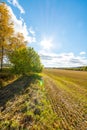 Autumn landscape. Colorful sunny day. Green fields and yellow trees. Royalty Free Stock Photo
