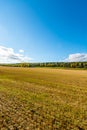 Autumn landscape. Colorful sunny day. Green fields and yellow trees. Royalty Free Stock Photo