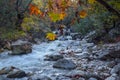 Autumn landscape! Colorful trees and beautiful waterfall in deep gold forest Royalty Free Stock Photo