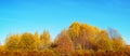 Autumn landscape with colorful trees, shrubs and blue sky. Autumn panorama. Sunny autumn day in foliar forest Royalty Free Stock Photo