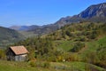 Autumn landscape with country house, cows and mountains at distance in Romania