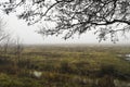 Autumn landscape in the countryside with a river in the fog Royalty Free Stock Photo