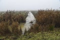 Autumn landscape in the countryside with a river in the fog Royalty Free Stock Photo