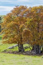 Autumn landscape in Creux du Van Royalty Free Stock Photo