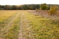 Autumn landscape. Dark clouds over the autumn forest. Yellowed grass in the field. Royalty Free Stock Photo