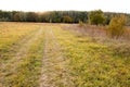 Autumn landscape. Dark clouds over the autumn forest. Yellowed grass in the field.