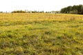 Autumn landscape. Dark clouds over the autumn forest. Yellowed grass in the field.