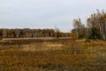 Autumn landscape. Dark clouds over the autumn forest. Yellowed grass in the field. Royalty Free Stock Photo