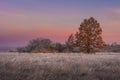 Autumn landscape at dawn. Colorful trees on meadow. Fall. Scenery autumn in early morning with beautiful color sky on sunrise. Royalty Free Stock Photo