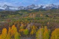 Autumn Dawn Dallas Divide San Juan Mountains Royalty Free Stock Photo