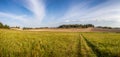 Autumn landscape with dirt road between meadows and fields, trees and blue sky with amazing white clouds Royalty Free Stock Photo